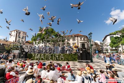 Flower-Festival018тФм╨╣Henrique-S
