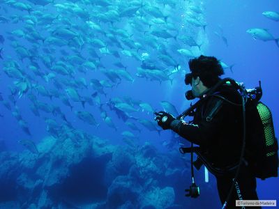 Diving2тФм╨╣VisitMadeira
