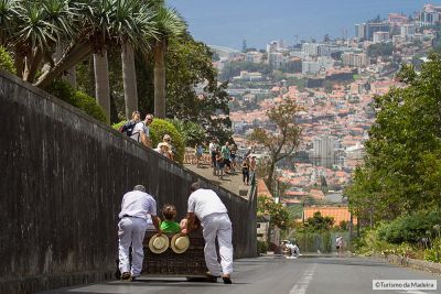 Carreiros-do-Monte3@miguelmoniz